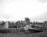 GIs inspect crashed and pancaked B-24 in a grainfield in China during WWII, between 1943-1945. 