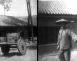 Farmers leading water buffalo through the base area at Yangkai. During WWII