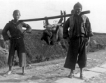 Men in China shoulder a large pig to market. During WWII.