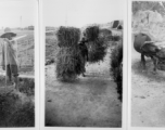 Farm life at Hanzhong, during WWII. Note the old town wall in the distance in the second image.