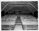 GIs of the 797th Engineer Forestry Company in Burma, watching a movie in the jungle.  During WWII.