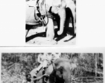 Local people in Burma near the 797th Engineer Forestry Company--men riding elephants, assisting in logging in some cases.  During WWII.