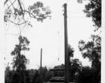 GIs moving logs using spar tree in Burma.  During WWII.  797th Engineer Forestry Company.