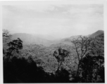 Densely forested hills in Burma, just waiting for the axe.  During WWII.  797th Engineer Forestry Company.