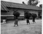 Local women shoulder large bundles of brush at the American military Darjeeling Rest Camp, Darjeeling, India, during WWII.