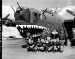 A 373rd Bombardment Squadron (308th Bm Grp) crew poses at the nose of 'Nip Nipper', a B-24D1, serial #42-72837, probably in a revetment at Yangkai, early in 1944.  Image from U. S. Government official sources.