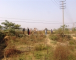 Looking back to the nearby road from the site where the American serviceman's remains are believed to be located.