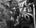 Chinese laborers carrying an American war dead draped in US flag. Near Tengchong, Yunnan, China. Williams notes that he had given blood donation for this soldier, but he had still not survived.  From the collection of Kenneth Williams.