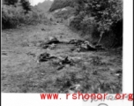 'Unidentified remains in a field.'  Southwest of Liuchow, fighters of the Fourteenth Air Force caught a cavalry column headed towards Liuchow. Japanese did not have time to bury their dead and the remains of horses and horsemen lay scattered throughout the valley.