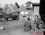 Villages take a break in China, against a backdrop of rice straw mounds.