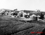 Village in Yunnan province, China, with grass-thatched houses. During WWII.