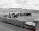 A mule train next to a canal in Yunnan province, China, during WWII.