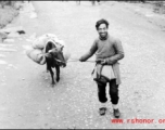 A refugee tugs on an ox near either Liuzhou or Guilin during the evacuation before the Japanese Ichigo advance in 1944, in Guangxi province.