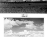 Rural scenes in harvest season near Kunming, China, 1945.