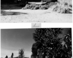 Rural life in SW China during WWII, 1945.