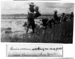 Rural life near Kunming, 1945.