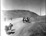 Mule or donkey trains in Yunnan province, probably in the Yangkai area.  From the collection of Frank Bates.