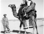 Men ride camel as a GI looks on.  Scenes in India witnessed by American GIs during WWII. For many Americans of that era, with their limited experience traveling, the everyday sights and sounds overseas were new, intriguing, and photo worthy.